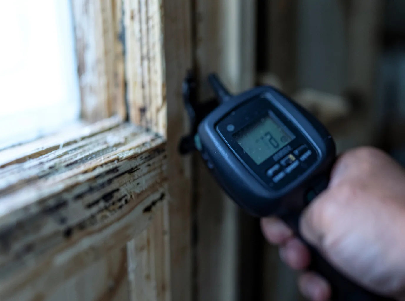 Moisture Inspection And Documentation in Woodlawn, IL